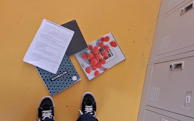 Калина Николова, Аслъ Хатиб, Седеф Сеид